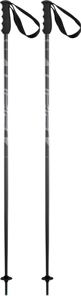 Изображение товара Горнолыжные палки Elan Speedrod 2025-2026 / CD532023-120 (р.120, черный)