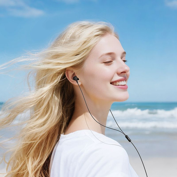 Изображение товара Наушники Hoco M117 (черный)