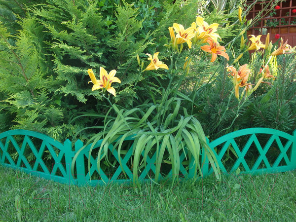 Изображение товара Изгородь декоративная Gardenplast Modern 50113 (зеленый)