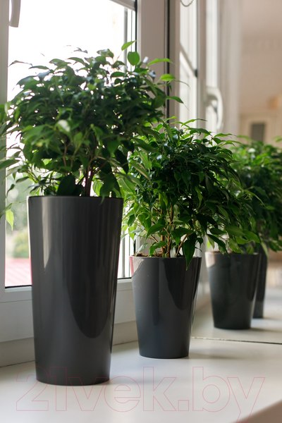 Изображение товара Кашпо Gardenplast Камелия (графитовый)