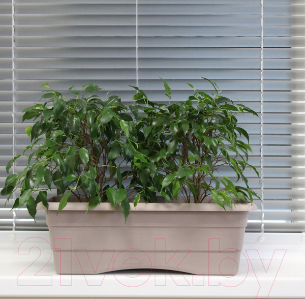 Изображение товара Кашпо Gardenplast №2 (капучино)