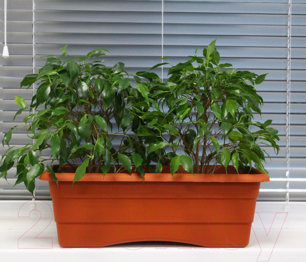 Изображение товара Кашпо Gardenplast №2 (терракотовый)