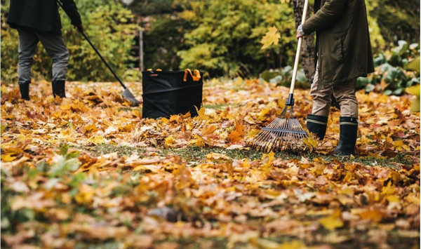 Изображение товара Грабли Fiskars Prima / 1011611