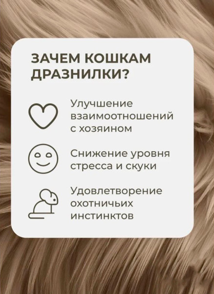 Изображение товара Игрушка для кошек Roxy-Pets Мышиные хвосты