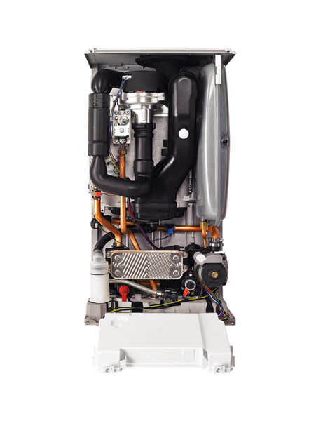 Изображение товара Газовый котел Protherm Lynx 25 MKO