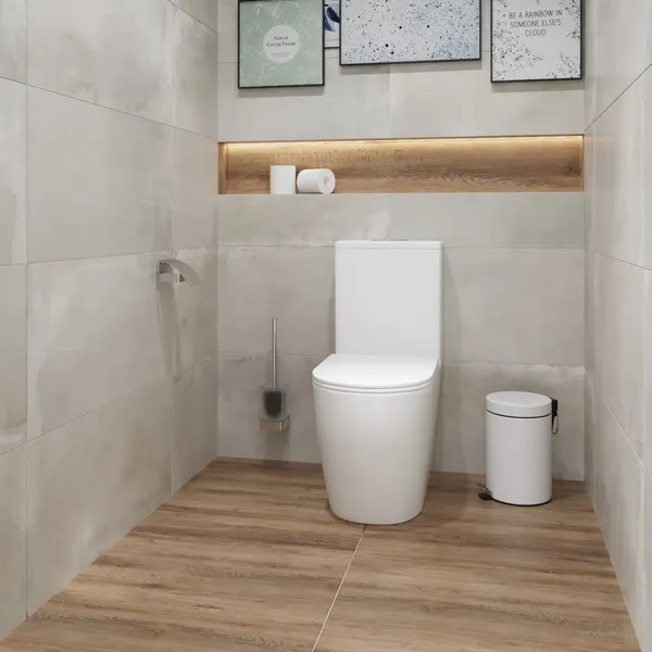 Изображение товара Унитаз напольный Lauter Rimless 21D2202 + гигиенический душ Rinse 21GN4051CH