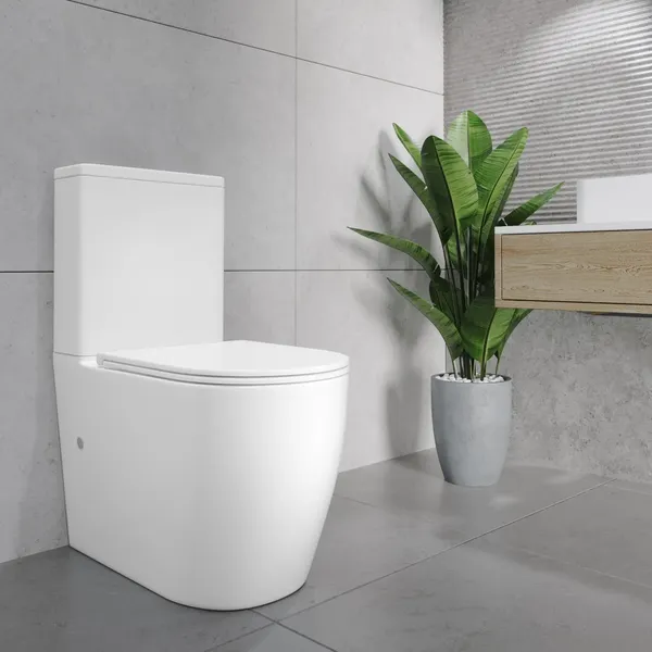 Изображение товара Унитаз напольный Lauter Rimless 21D2202 + гигиенический душ Rinse 21GN4051CH