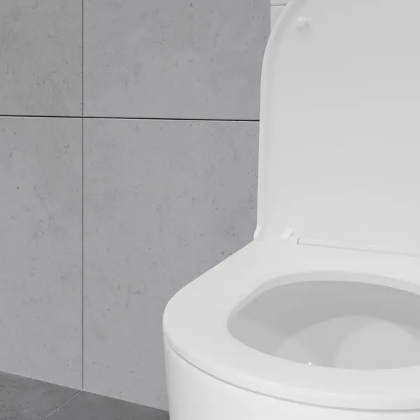 Изображение товара Унитаз напольный Lauter Rimless 21D2202 + гигиенический душ Rinse 21GN4051CH