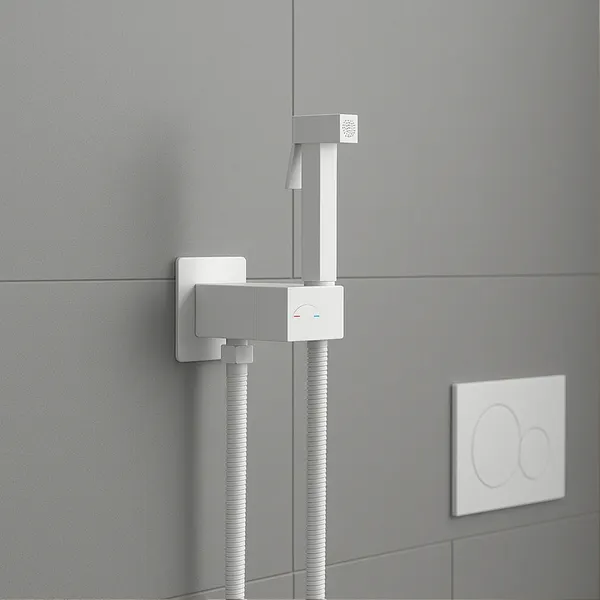 Изображение товара Унитаз напольный Lauter Rimless 21D2202 + гигиенический душ Rainix 21LT7713MW