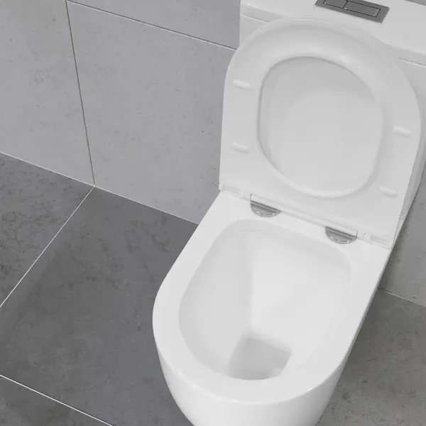 Изображение товара Унитаз напольный Lauter Rimless 21D2202 + гигиенический душ Rainix 21LT7713MW