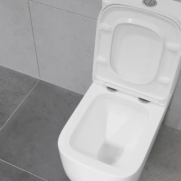 Изображение товара Унитаз напольный Lauter Rimless 21D2203 + гигиенический душ Sano 21LT1293MW