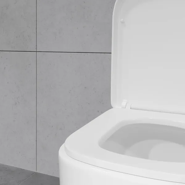 Изображение товара Унитаз напольный Lauter Rimless 21D2203 + гигиенический душ Sano 21LT1293MW