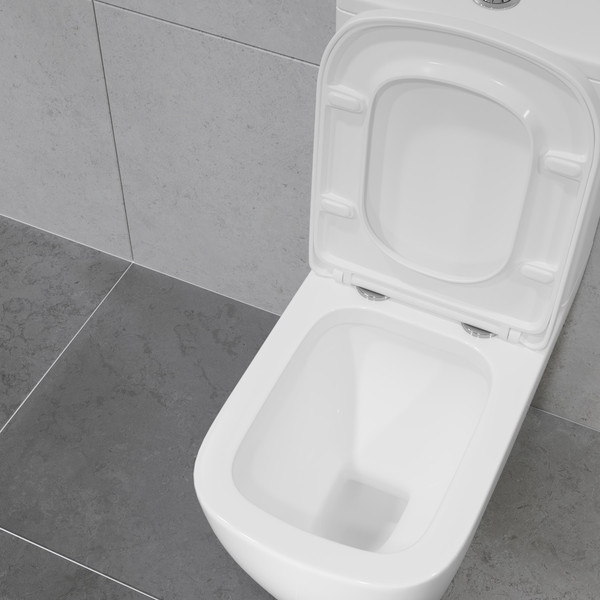 Изображение товара Унитаз напольный Lauter Vortex 2110012VF + гигиенический душ Rainix 21LT7714GL