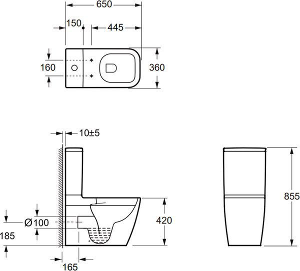Изображение товара Унитаз напольный Lauter Vortex 2110012VF + гигиенический душ Rainix 21LT7714GL