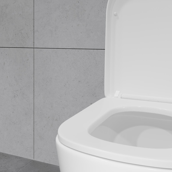 Изображение товара Унитаз напольный Lauter Vortex 2110012VF + гигиенический душ Daze 21GN3132BM