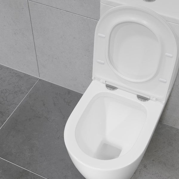 Изображение товара Унитаз напольный Lauter Vortex 2110022VF + гигиенический душ AquaTech 21LT0101CH