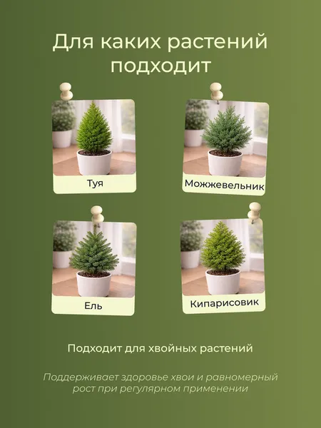 Изображение товара Удобрение Докшицкая станица Биогумус для хвойных растений (1л)