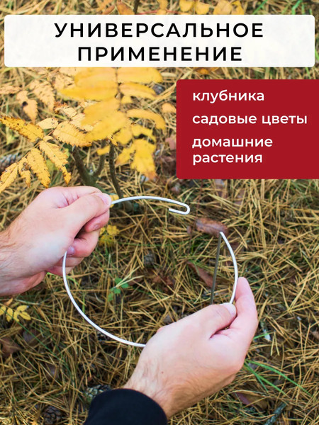 Изображение товара Набор опор для растений ARTELIKA Для клубники и растений