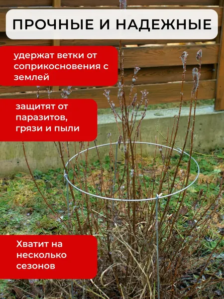 Изображение товара Опора для растений ARTELIKA Удлинённые с кругом для цветов и кустов 60х80см (3шт)