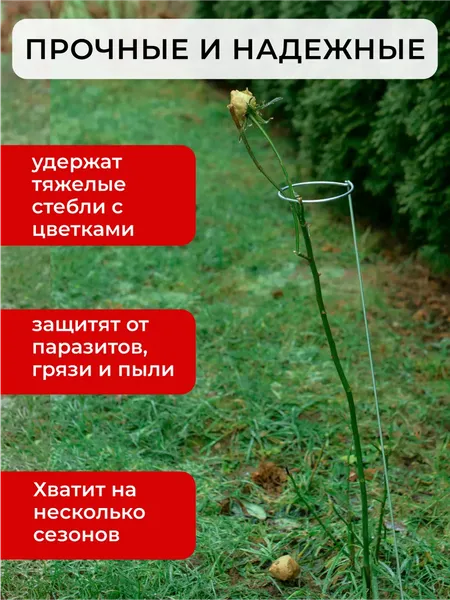 Изображение товара Опора для растений ARTELIKA Гладиолусов, цветов (20шт)