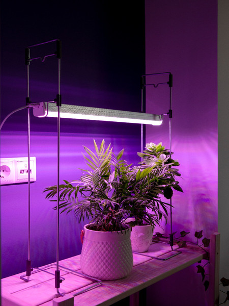 Изображение товара Подставка для фитосветильника ARTELIKA 0-60 см