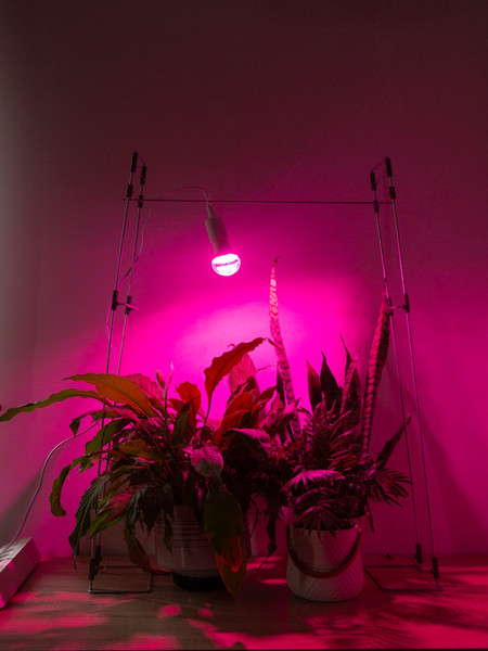 Изображение товара Подставка для фитосветильника ARTELIKA 0-90см