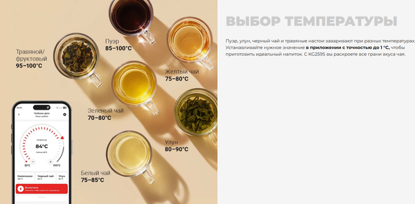 Изображение товара Электрочайник Redmond KG259S (черный/тонировка)