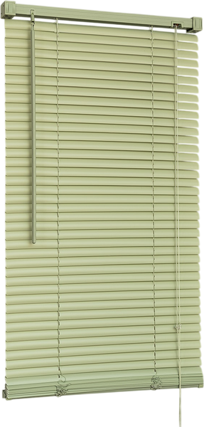 Изображение товара Жалюзи горизонтальные Delfa Bliss NO.RF-M-511 (80x160, олива)