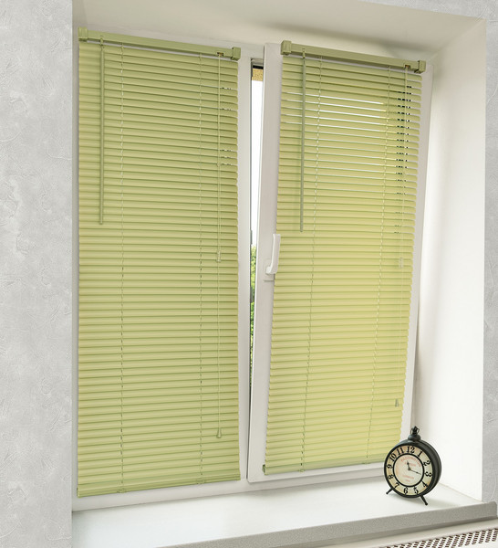 Изображение товара Жалюзи горизонтальные Delfa Bliss NO.RF-M-511 (80x160, олива)