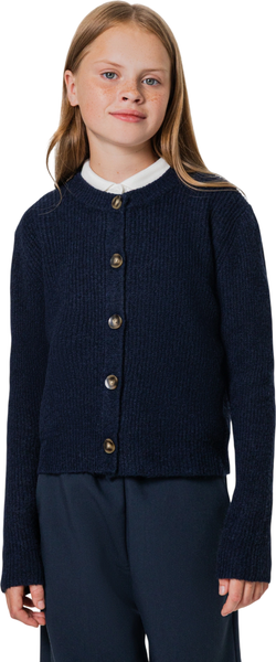 Изображение товара Кофта детская Mark Formelle 167762 (р.152-76, неви)