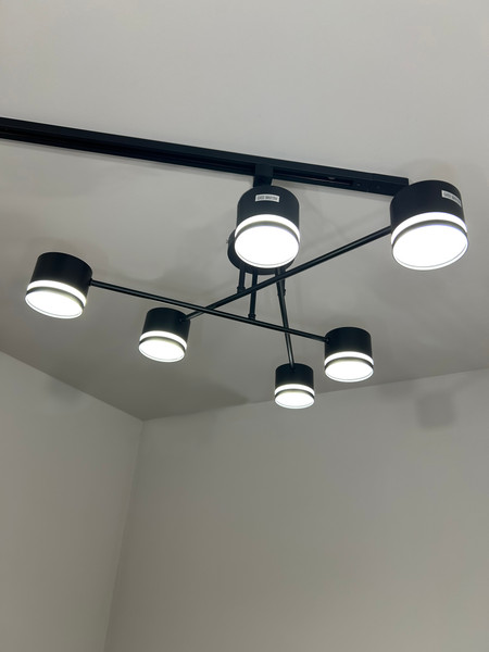 Изображение товара Люстра Aitin-Pro X1017/6 (черный)