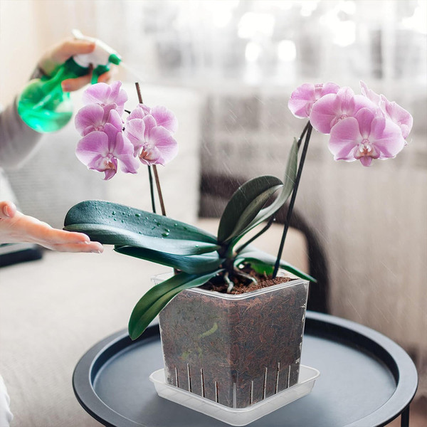 Изображение товара Кашпо BOTANICA Clear квадратное (12.5см, прозрачный)