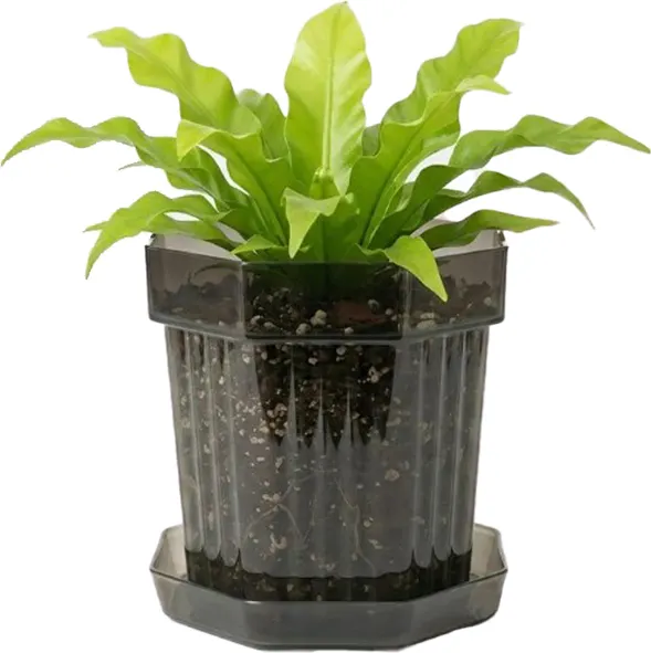 Изображение товара Вазон BOTANICA Glass с поддоном (12x12см, серый)