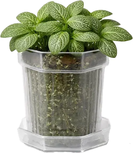 Изображение товара Вазон BOTANICA Glass с поддоном (12x12см, прозрачный)