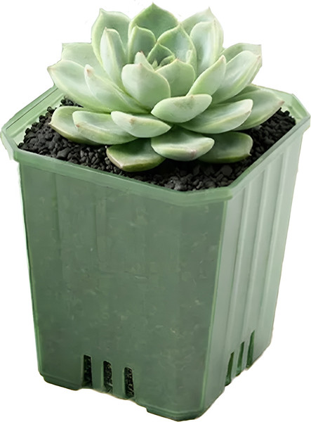 Изображение товара Набор вазонов BOTANICA Compact квадратный (5x6.5см, зеленый)