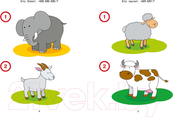 Изображение товара Развивающая книга Махаон Новые тесты. Для детей 1-2 лет (Земцова О.)