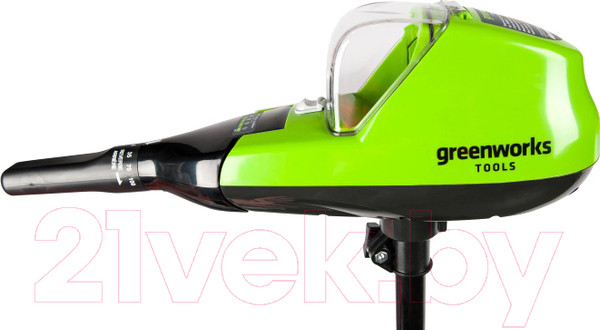 Изображение товара Мотор лодочный Greenworks G40TM55 / 9000207