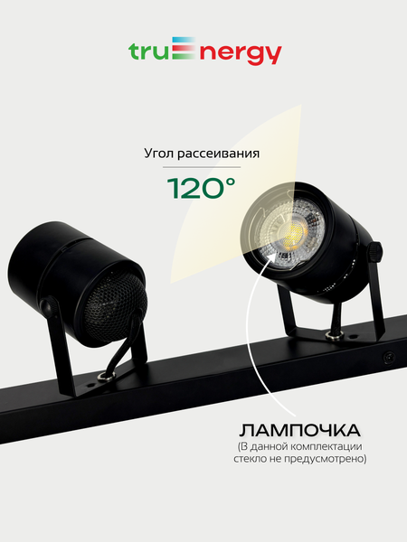 Изображение товара Спот Truenergy 21466
