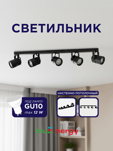Изображение товара Спот Truenergy 21466
