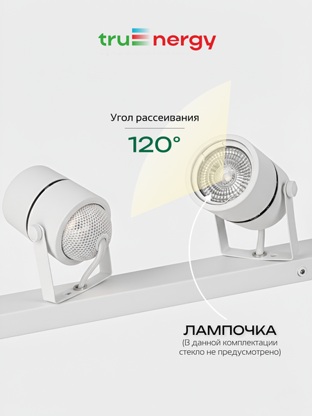 Изображение товара Спот Truenergy 21467