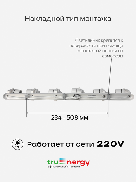 Изображение товара Спот Truenergy 21469