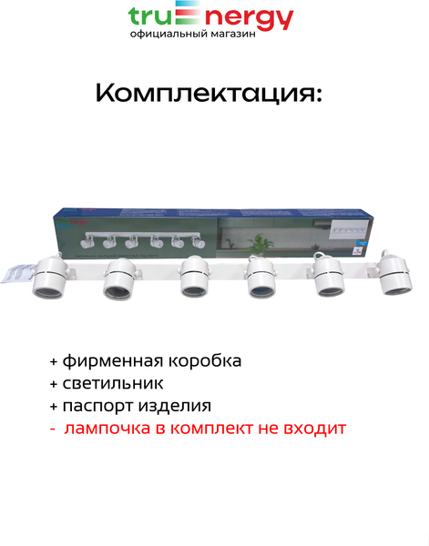 Изображение товара Спот Truenergy 21469
