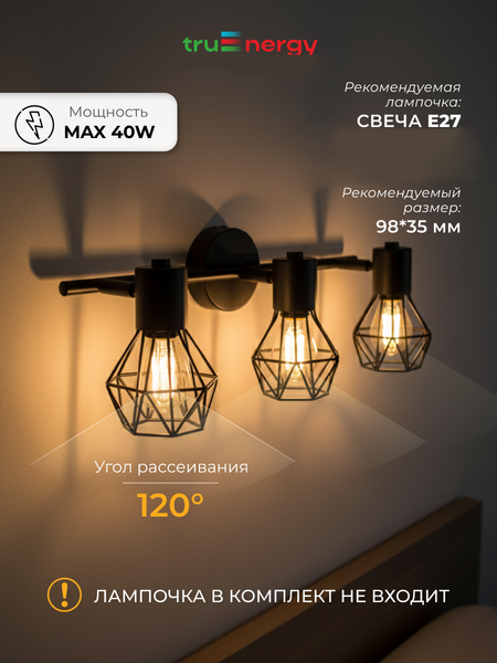 Изображение товара Спот Truenergy 21338