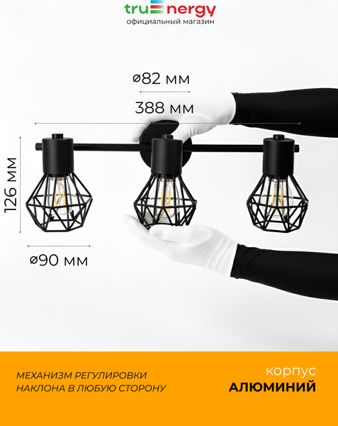 Изображение товара Спот Truenergy 21338