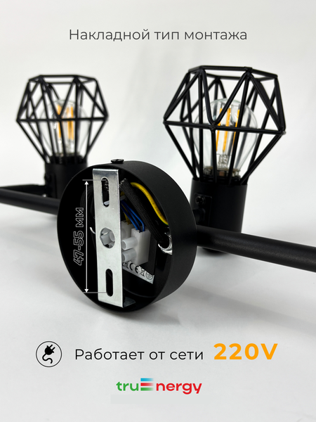 Изображение товара Спот Truenergy 21338