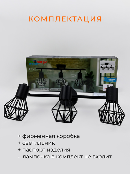 Изображение товара Спот Truenergy 21338