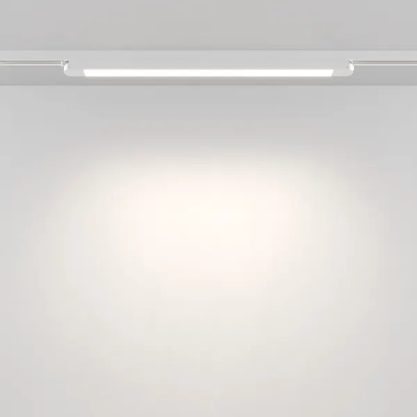 Изображение товара Трековый светильник Maytoni Basis Unity TR000-1-24W4K-W_1