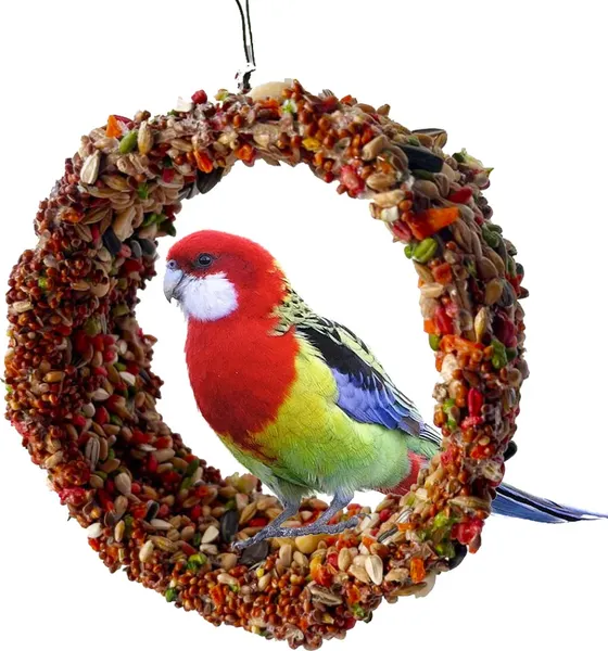 Изображение товара Лакомство для птиц Smile King Для мелких птиц, попугаев. Лакомые качели / LKG-89