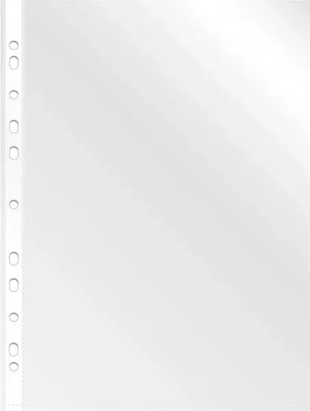 Изображение товара Набор файлов Бюрократ Премиум 013BKPREM тисненые A4+ 40мкм (100шт)