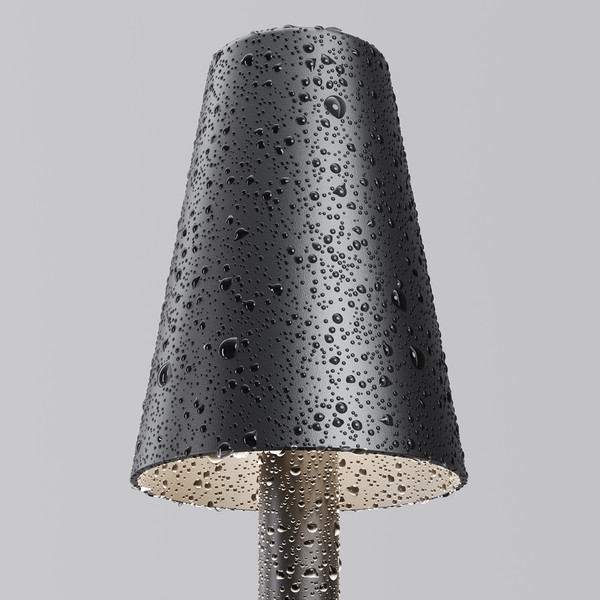 Изображение товара Светильник уличный Maytoni Cane O504FL-L1B3K1